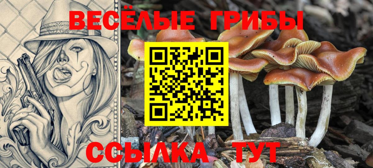 Карпинск  Галлюциногенные грибы Cubensis  где купить   Галлюциногенные грибы Psilocybe  Вход с VPN 